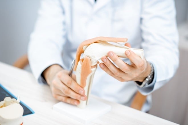 health care provider holding a model of the knee joint