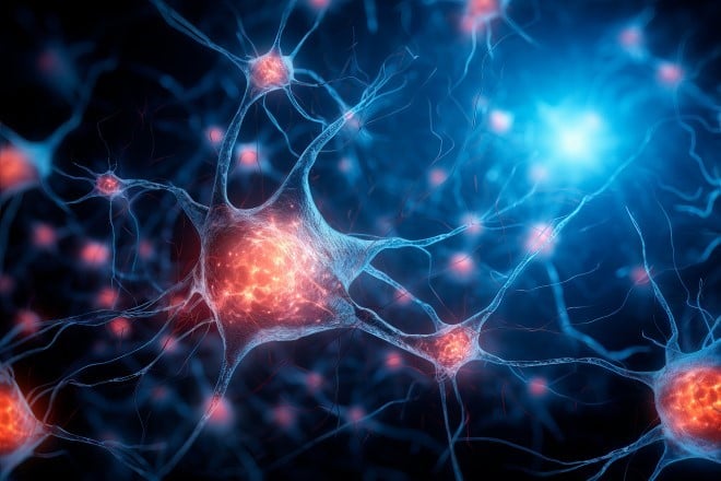 Neurons with electrical pulses