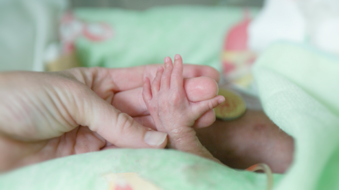 An infant hand holding an adult finger