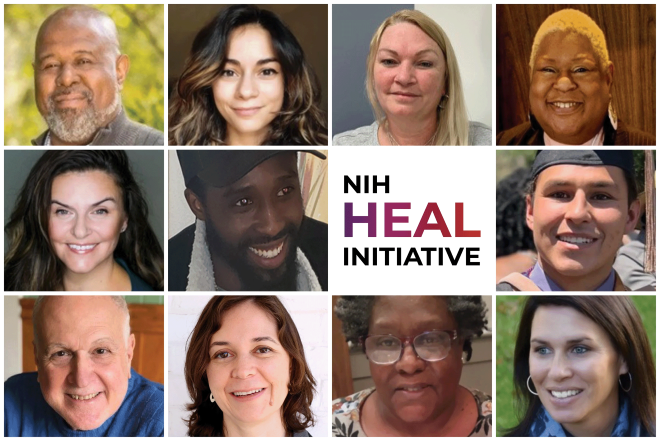 NIH HEAL Initiative surrounded by headshots of various HCPC members